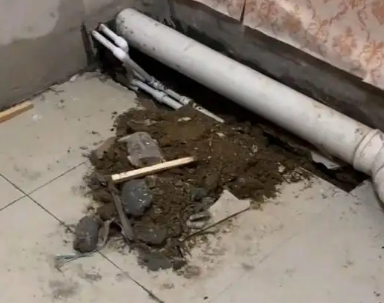 璧山卫生间漏水检测哪家好